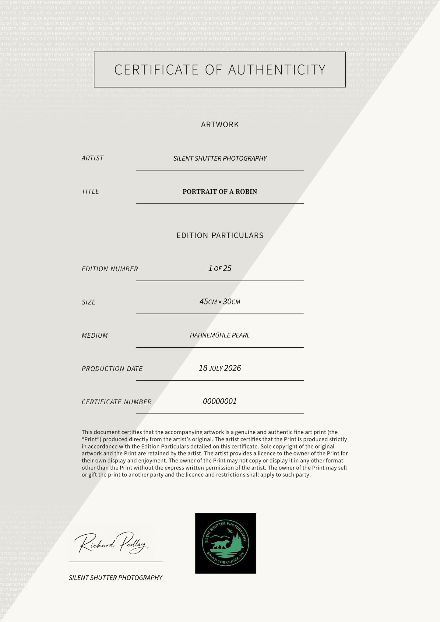 Portrait of a Robin — Certificate of Authenticity