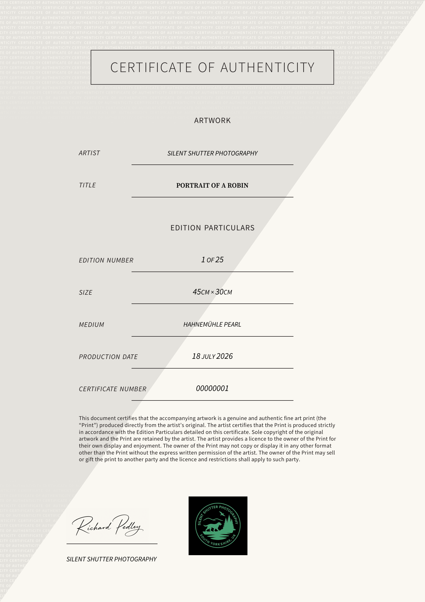 Portrait of a Robin — Certificate of Authenticity