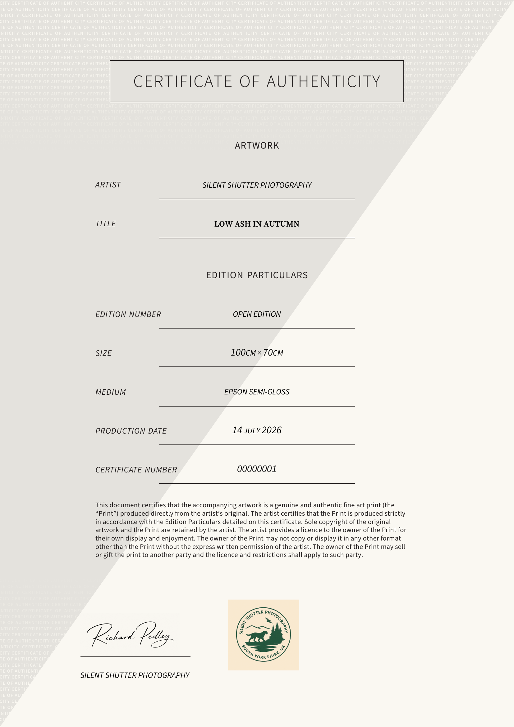 Low Ash in Autumn — Certificate of Authenticity