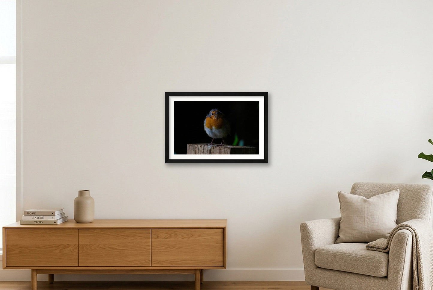 Portrait of a Robin — 45×30cm, 18×12" Black Frame