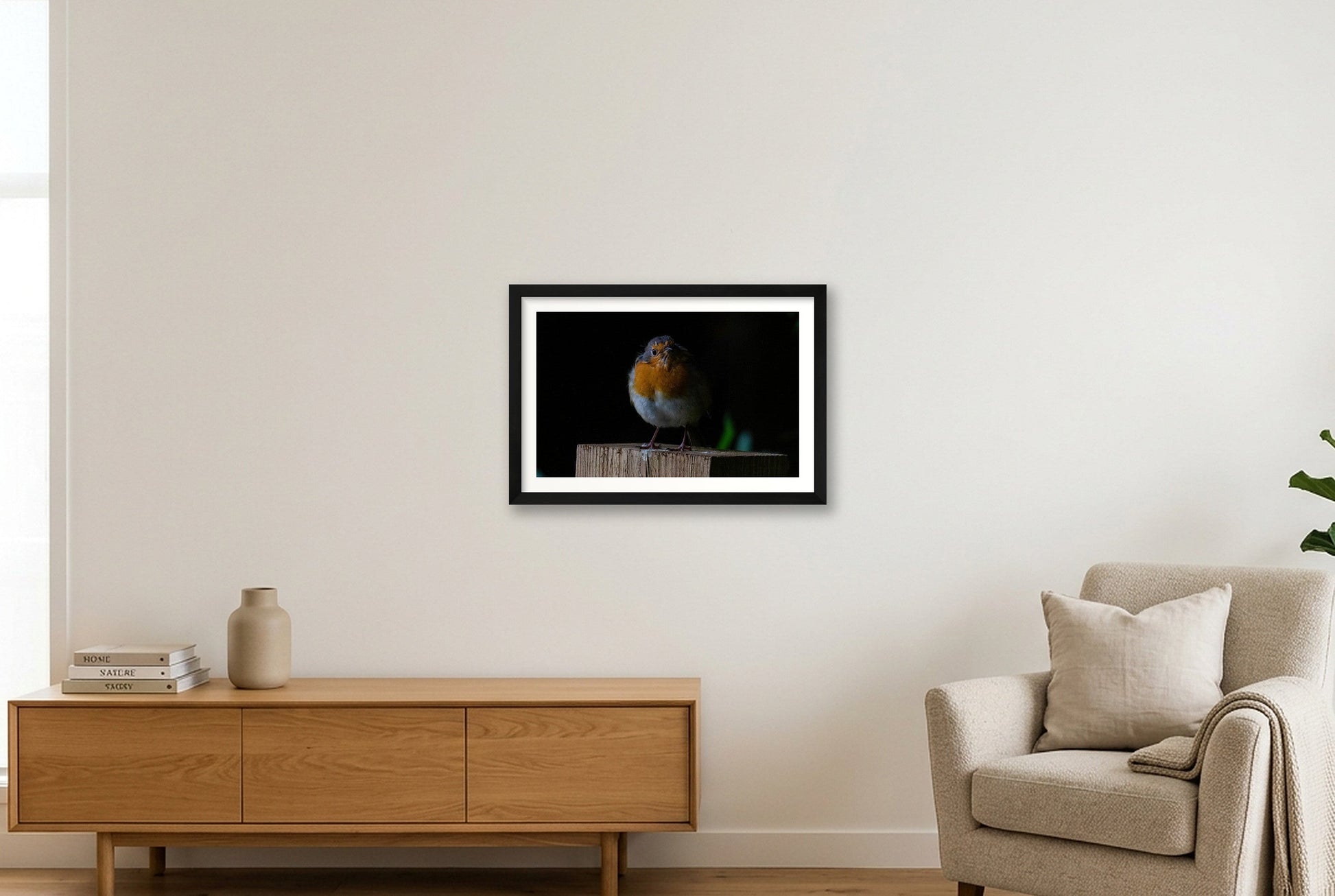 Portrait of a Robin — 45×30cm, 18×12" Black Frame