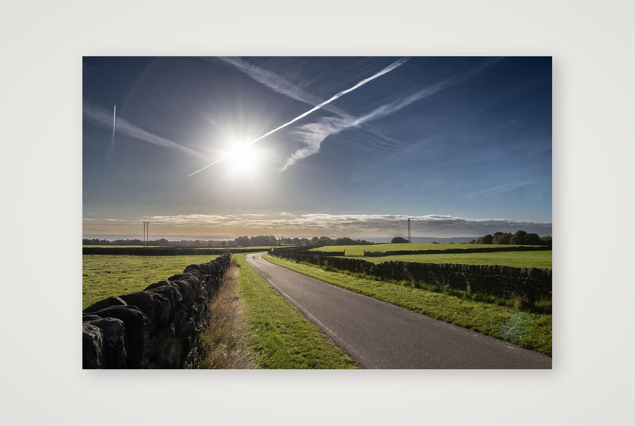 Low Ash in Autumn — 45×30cm, 18×12" Print only