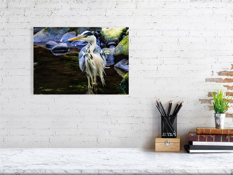 Grey Heron on the River Don | South Yorkshire Wildlife Fine Art Print | Sheffield