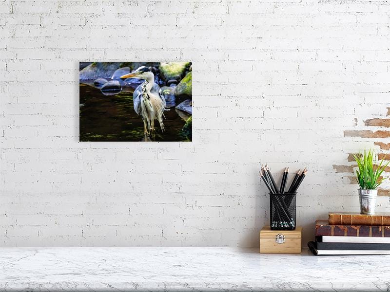Grey Heron on the River Don | South Yorkshire Wildlife Fine Art Print | Sheffield