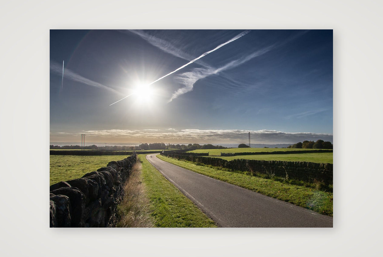 Low Ash in Autumn — 100×70cm, 39×28" Print only